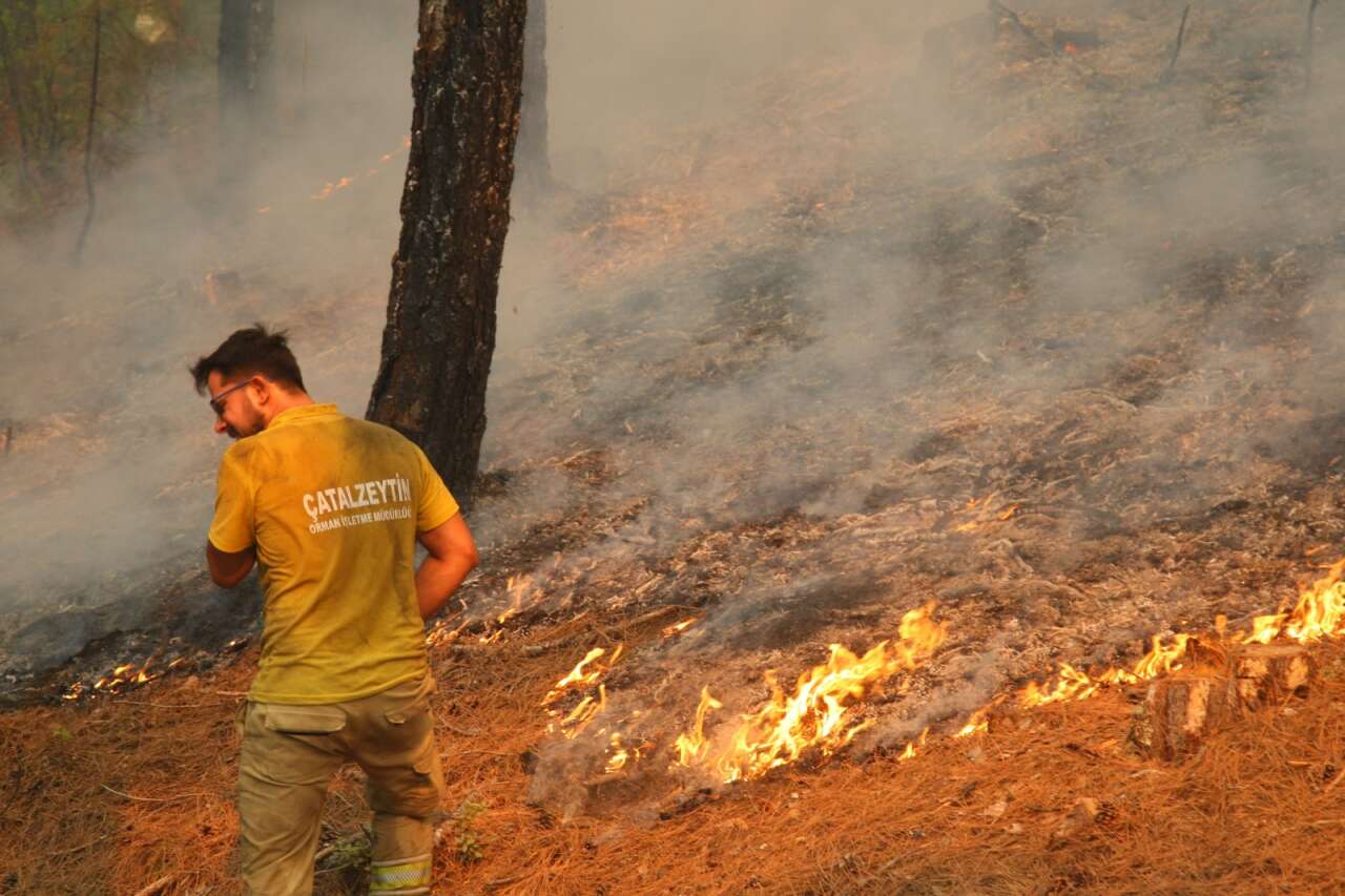 Muğla’da Orman Yangınlarının Acı Tablosu: 3 Yılda Yaklaşık 6 Bin Hektar Alan Kül Oldu 4